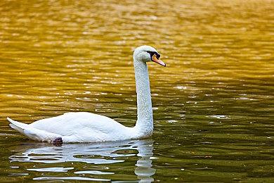 NS版《地球防卫军4.1》预告公开 游戏12月22日发售